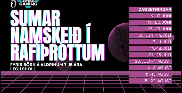 Sumarnámskeið í rafíþróttum